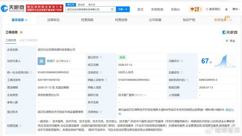四方光电与高德红外携手，武汉新设传感科技公司注册资本500万，聚焦技术咨询领域